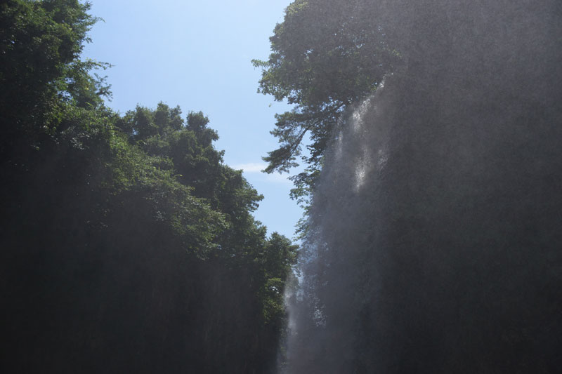 d0342652_1263617.jpg