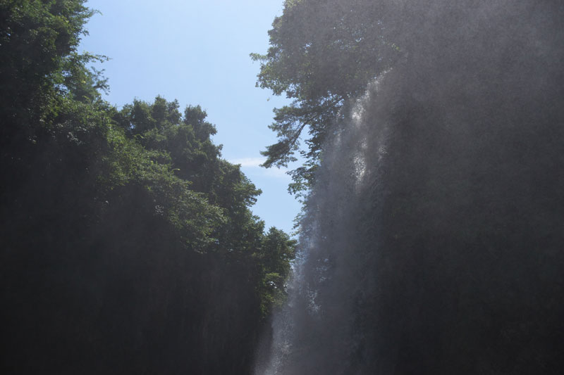 d0342652_1291594.jpg