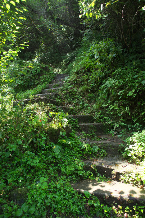 d0342652_129349.jpg