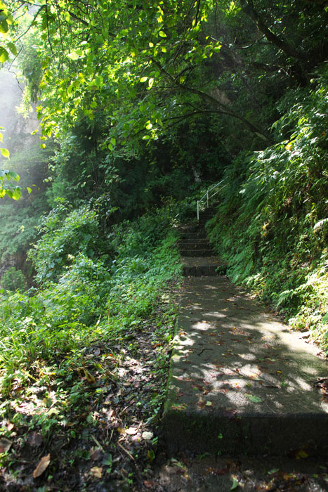 d0342652_1295575.jpg