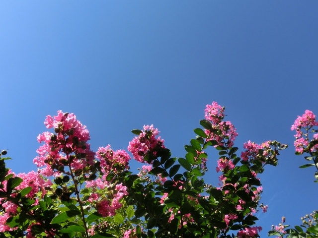 c0328559_15110574.jpg