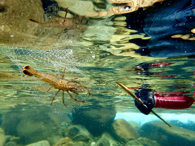 c0123363_1663850.jpg