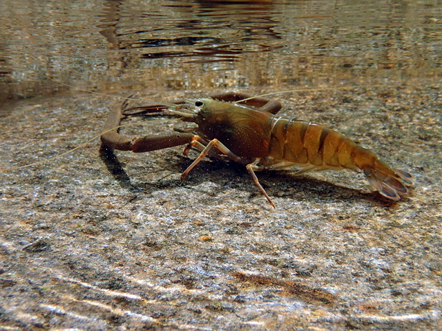 c0123363_1682210.jpg