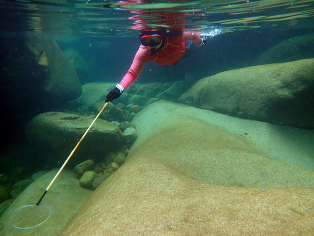 c0123363_168396.jpg