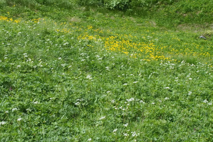 e0307372_17191307.jpg