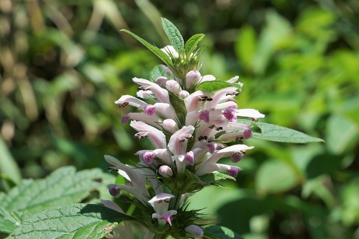 c0248473_18575476.jpg