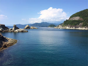 d0035878_1756721.jpg