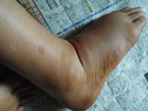 c0108198_1615255.jpg