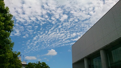 d0040901_21283783.jpg