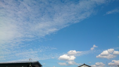 d0040901_2129409.jpg