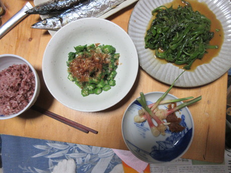 a0203003_20312637.jpg