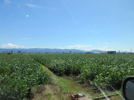 a0203003_20315554.jpg