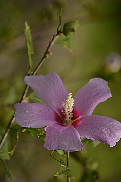 a0240403_16164158.jpg