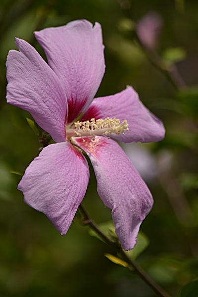 a0240403_16164840.jpg