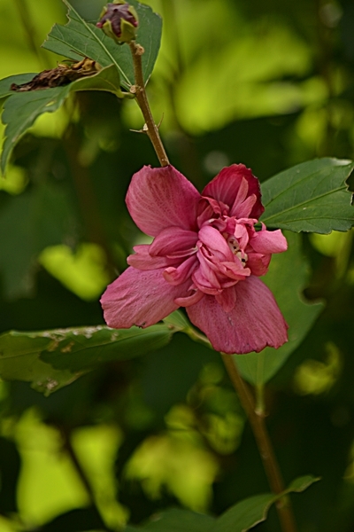 a0240403_16180177.jpg