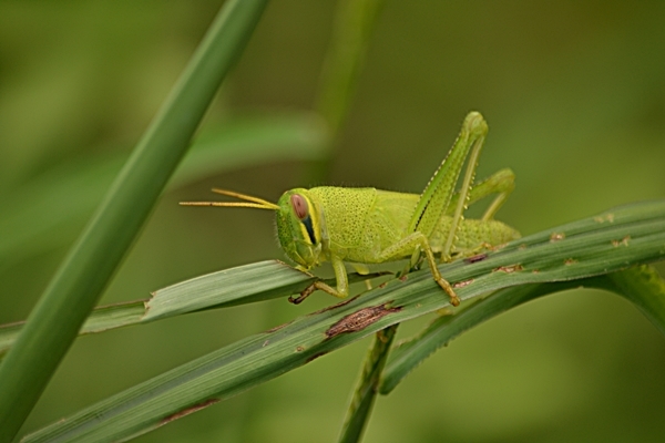 a0240403_16214216.jpg