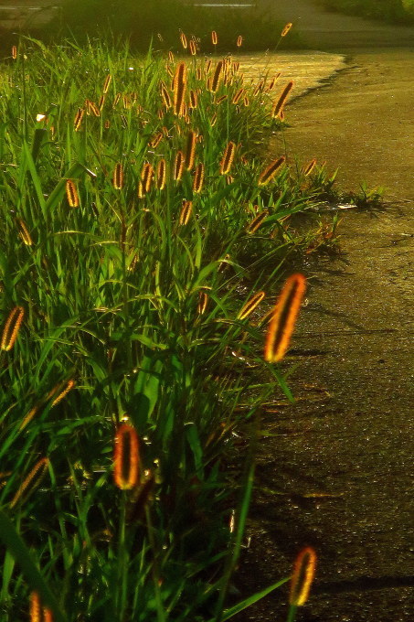 a0214206_14181780.jpg