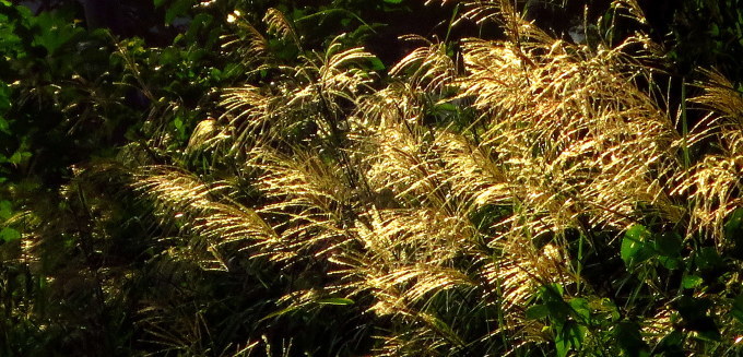 a0214206_14183694.jpg