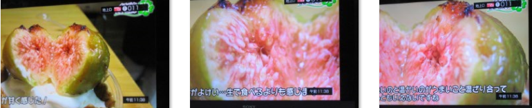 f0231709_16104584.png