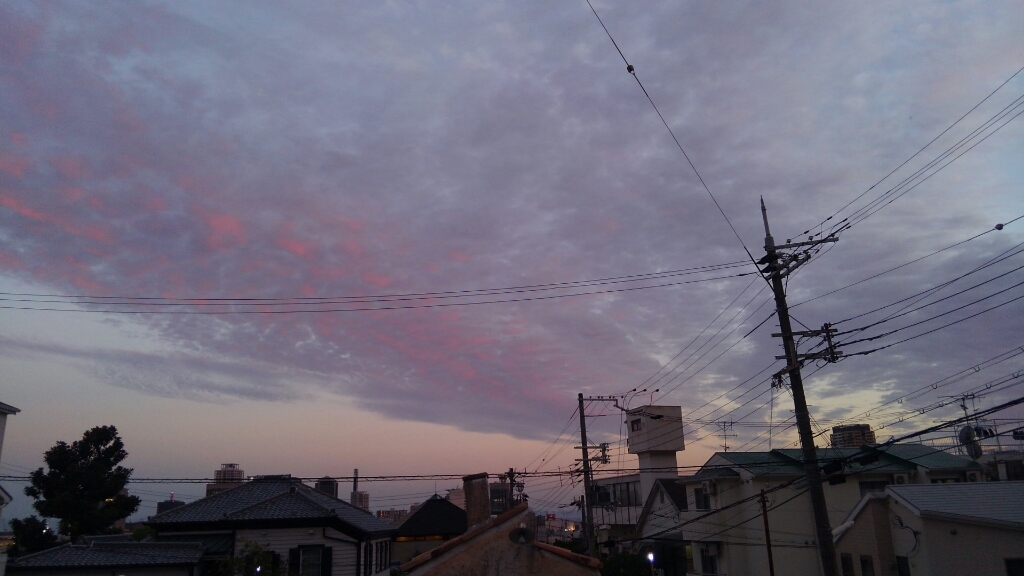 b0160614_20092867.jpg