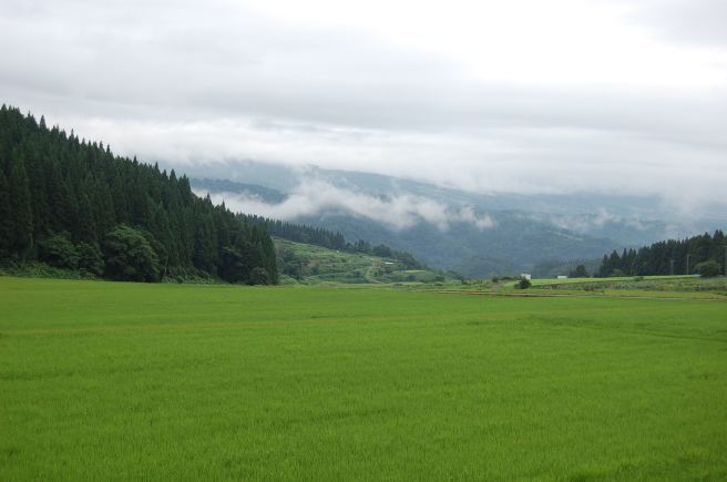 d0099515_15475806.jpg