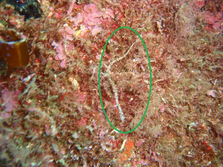d0070216_17394425.jpg