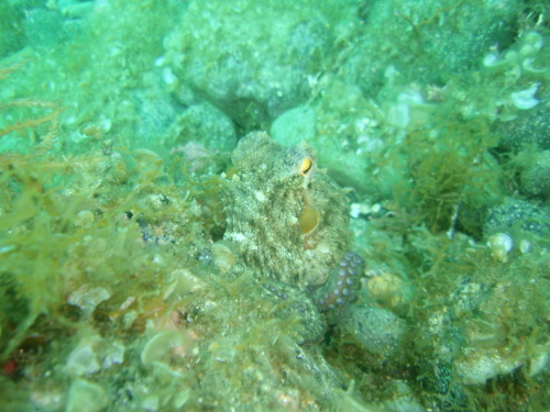 d0070216_17572391.jpg
