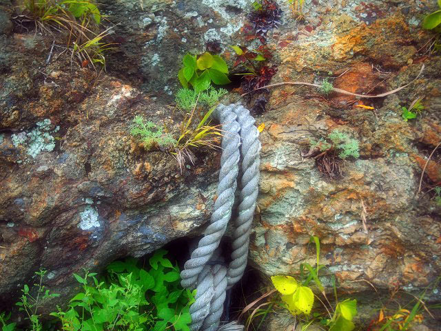 d0295818_00171145.jpg