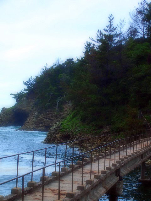 d0295818_00315808.jpg