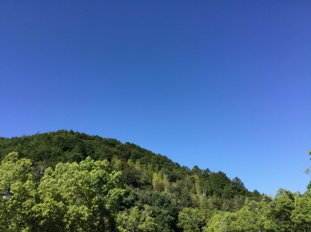 c0326723_23363651.jpg