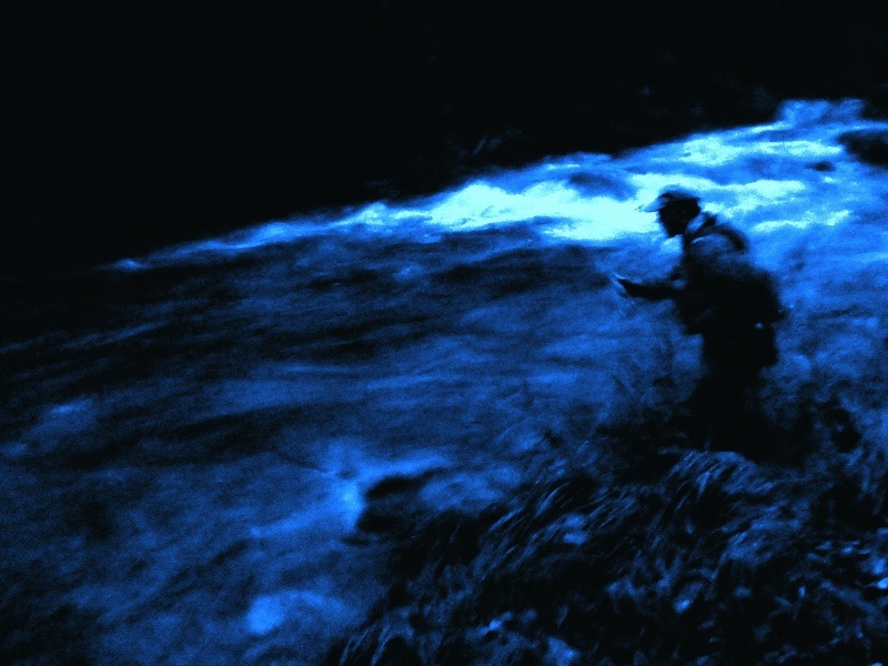 d0091323_10391319.jpg