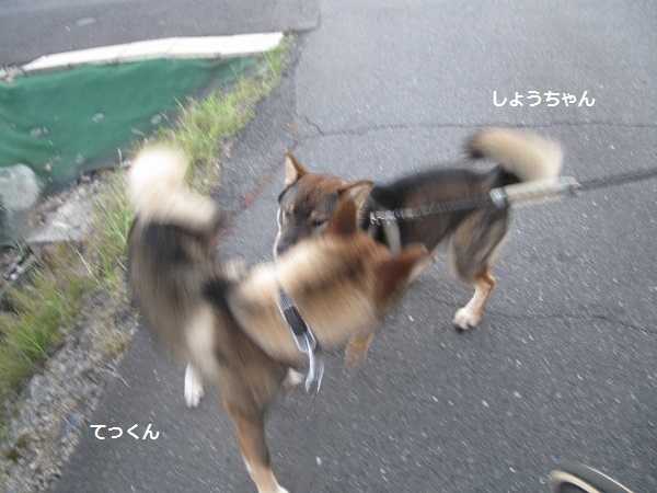 f0143123_09000959.jpg