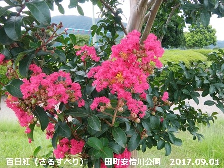 e0033229_18442788.jpg
