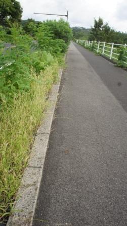 e0166734_20100334.jpg