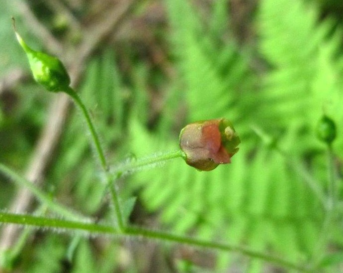 b0298935_11110288.jpg