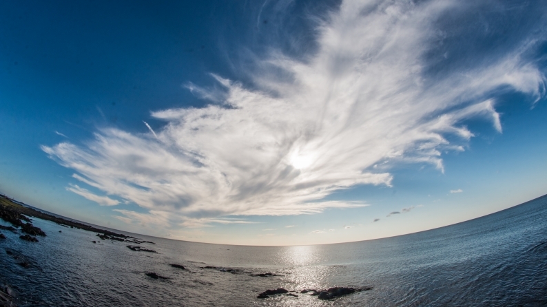 d0060435_15194696.jpg