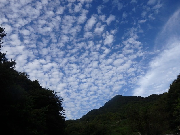 a0054240_21271226.jpg