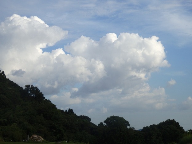 a0054240_2129486.jpg