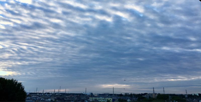 e0206242_23431453.jpg