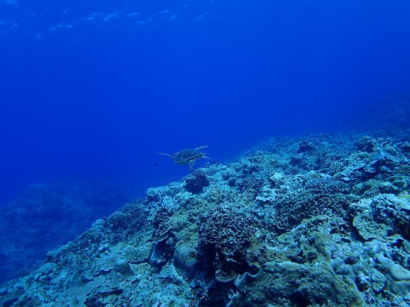 d0142944_22522681.jpg