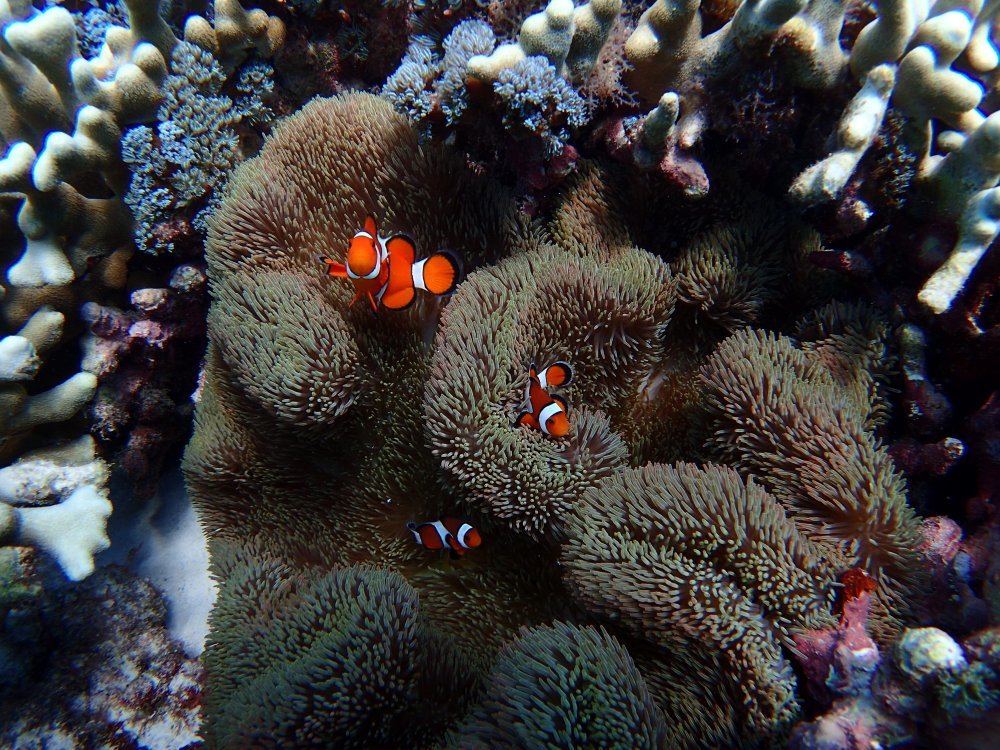 d0142944_22522778.jpg