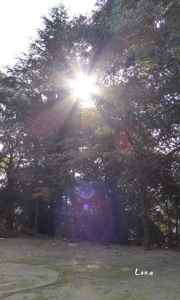 c0222861_2044432.jpg