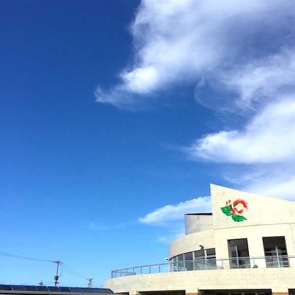 d0226565_18115565.jpg