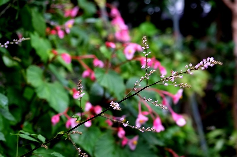 f0214467_01262000.jpg