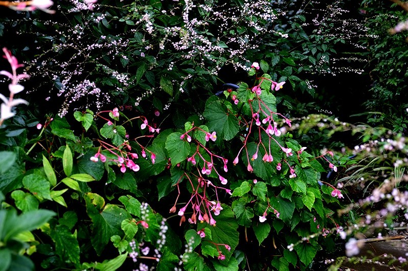 f0214467_01264818.jpg