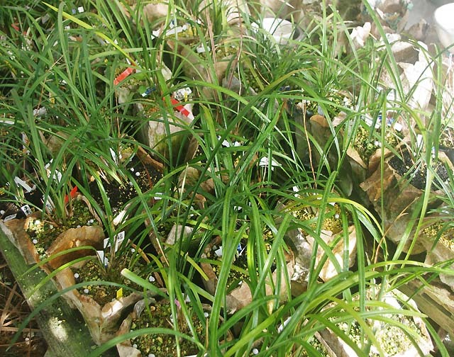 c0068168_08210934.jpg