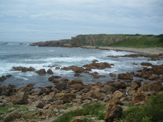 c0069380_12265005.jpg