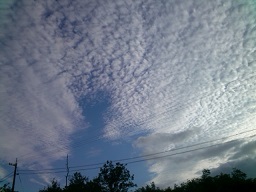 f0064397_10185672.jpg