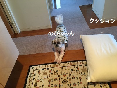 f0372998_20502087.jpg