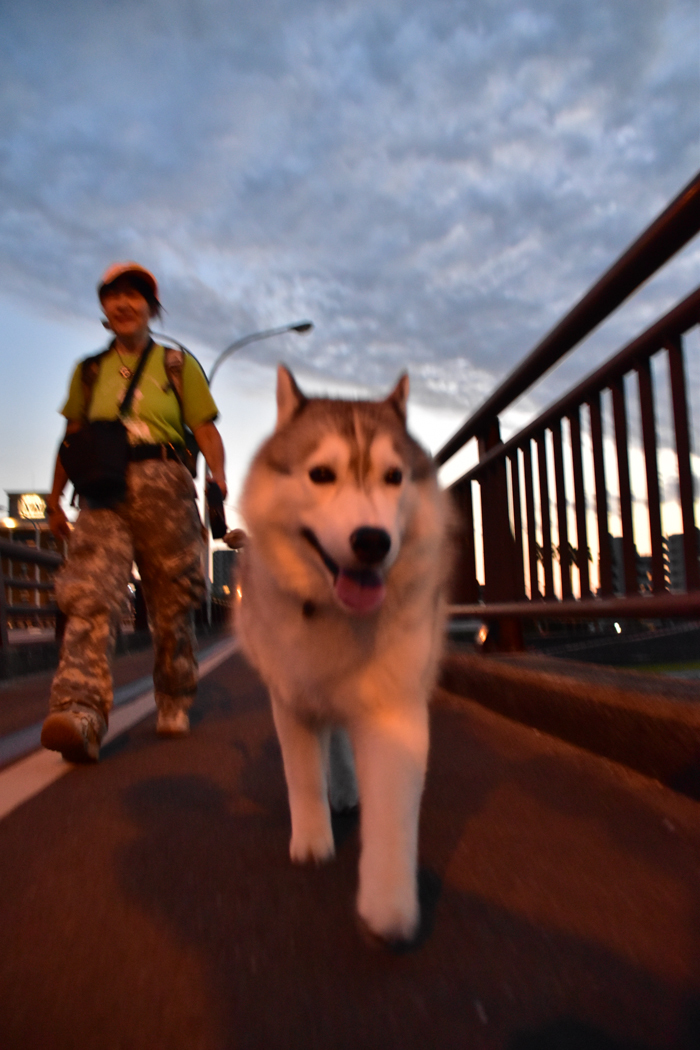 c0049299_22151644.jpg